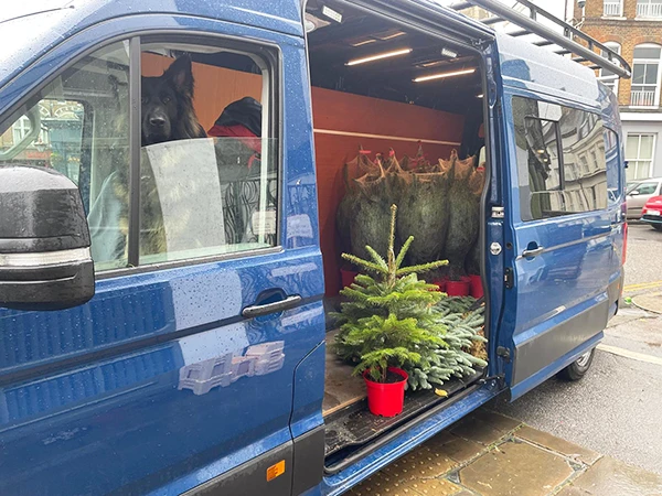 Delivery Van Xmas Tree